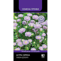 Семена Астра Сирена Лавандовая Поиск Цх10