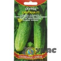 Огурец Сантана Плазма Ц