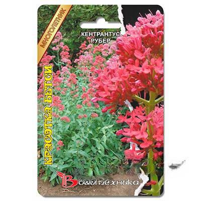 Кентрантус Красотка Бетси Биотехника Ц х10