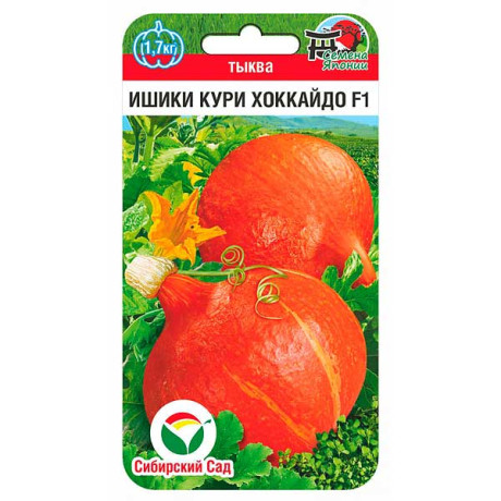 Тыква Ишики Кури Хоккайдо СибСад