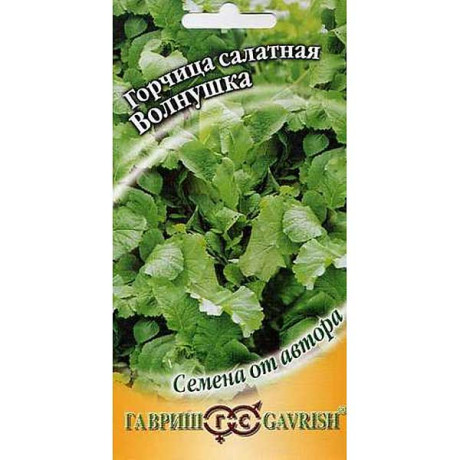 Горчица Волнушка листовая Гавриш Ц