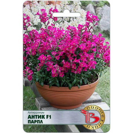 Антирринум Антик F1 Парпл Биотехника Ц