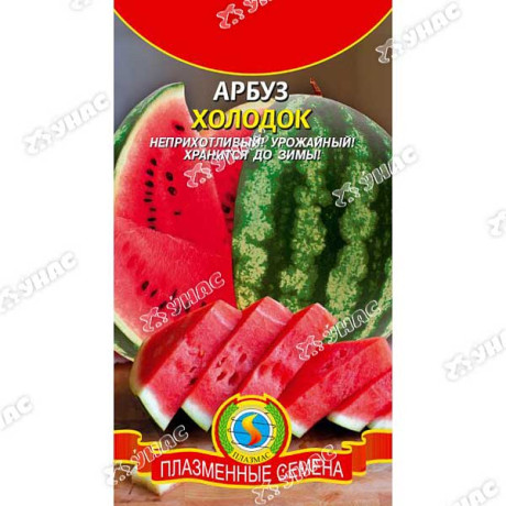 Арбуз Холодок Плазма Ц