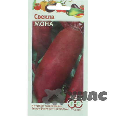 Свекла Мона Гавриш Ц