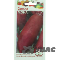 Свекла Мона Гавриш Ц