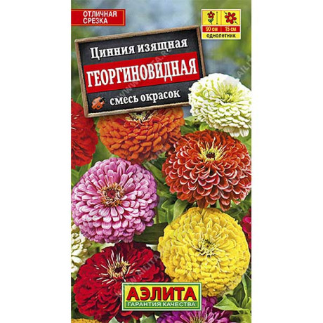 Циния Георгиновидная Аэлита Ц