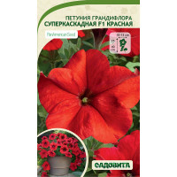 Петуния Суперкаскадная F1 Красная грандифлора 10др PanAmerican/Садовита Ц