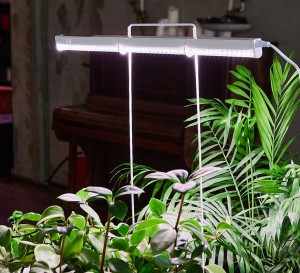 Uniel фито св-к св/д для растений 18W 35мкмоль/с, пластик с выкл L=560мм ULI-P10-18W/SPFR IP40