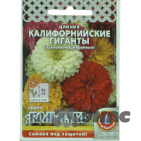 Циния Калифорнийские гиганты &quot;Кольчуга&quot; НК Ц