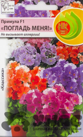 Примула Погладь меня НК Ц