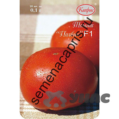 Семена Томат Полбиг (Нидерланды) Каприс