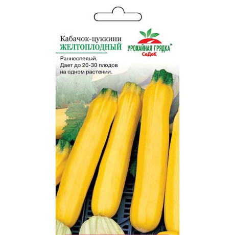 Кабачок Желтоплодный Седек Ц