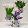 Подставка для цветов "Фиалка 3" чёрный (3 корзины)