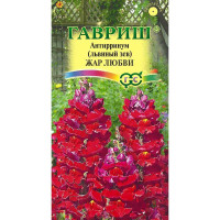 Львиный зев Жар любви Гавриш Ц