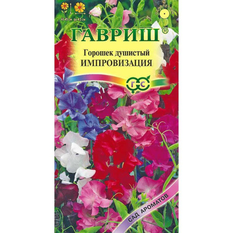 Душистый Горошек Импровизация  Гавриш Ц