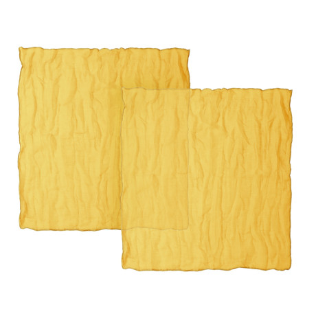 PROVANCE Ботаника Салфетка текстильная 2шт, 50х50см, 100% полиэстер, 2 цвета