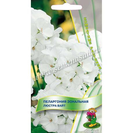 КОМ Пеларгония зональная Люстра Вайт Поиск Ц
