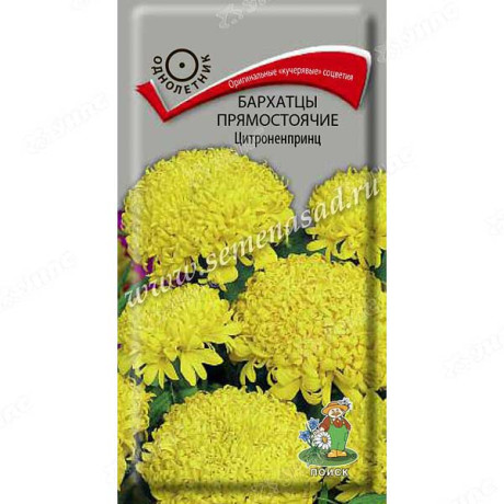 Бархатцы Цитроненпринц Поиск Ц