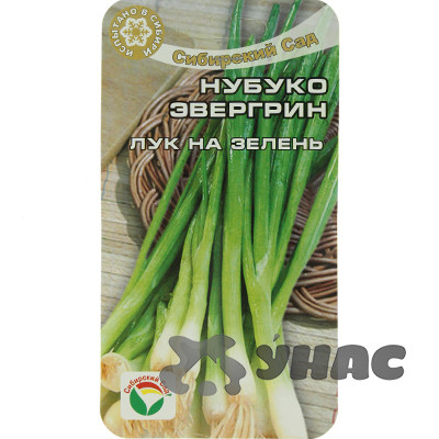 Лук на зелень Нубуко Эвергрин СибСад Ц