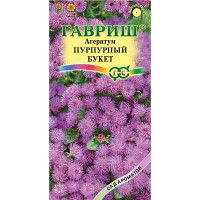 Агератум Пурпурный букет Гавриш Ц