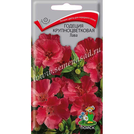 Годеция Лава крупнцв. Поиск Ц