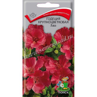 Годеция Лава крупнцв. Поиск Ц