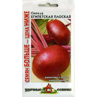 Свекла Египетская плоская Удачные Семена Семян больше Гавриш Ц