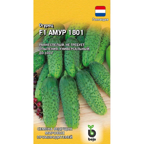 Огурец Амур Гавриш Ц