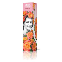 Роза флорибунда Циркус Садовита