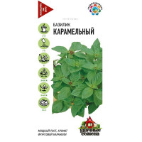 Базилик Карамельный Удачные семена Гавриш Ц