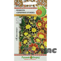 Примула Серебряное кружево НК Ц