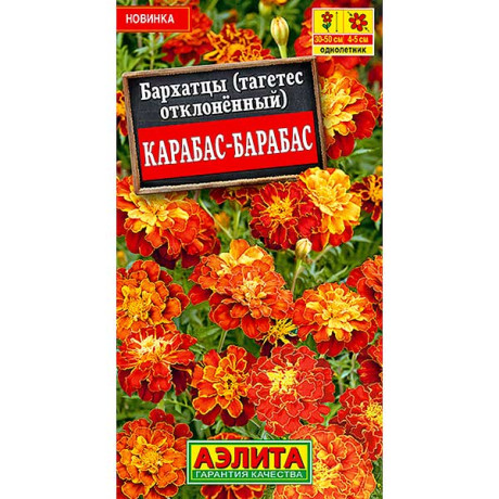 Бархатцы Карабас-Барабас Аэлита Ц