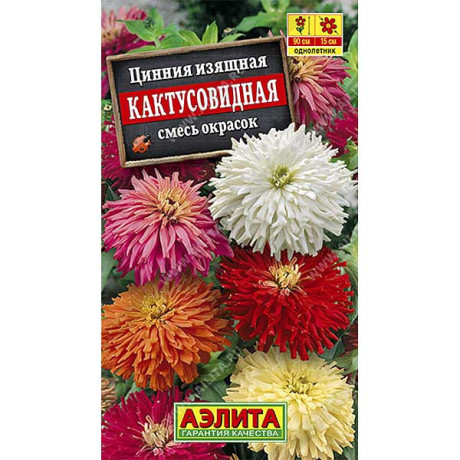 Цинния Кактусовидная Аэлита Ц