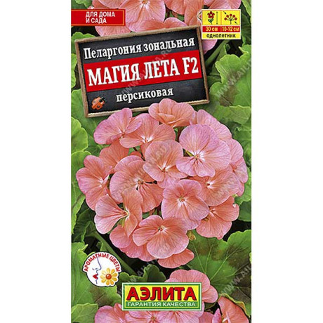 КОМ Пеларгония Магия лета персик  Аэлита Ц