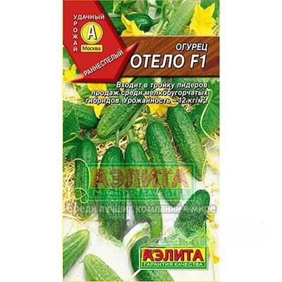 Огурец Отело Аэлита Ц