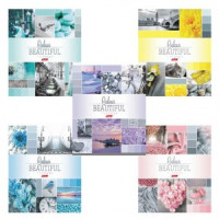 Тетрадь 96 л., HATBER, клетка, обл. мелов.  картон, &quot;Beautiful colour&quot;, 96Т5В1, T241349