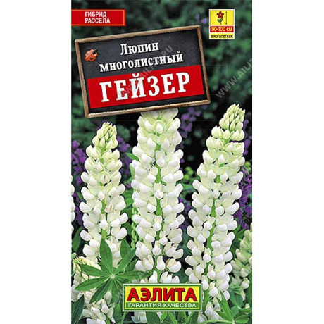 Люпин Гейзер многол. Аэлита Ц