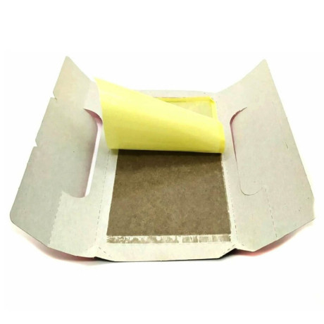 Средство инсектицидное липкая пластина "КЛЕЕЛОВ", 1 шт