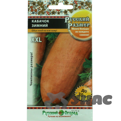 Кабачок Русский Размер зимний НК Ц