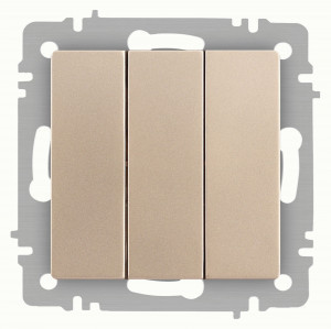 ЭРА Intro Accent мех. выкл. СУ 3 кл. 10А 250В, шампань 6-106-04