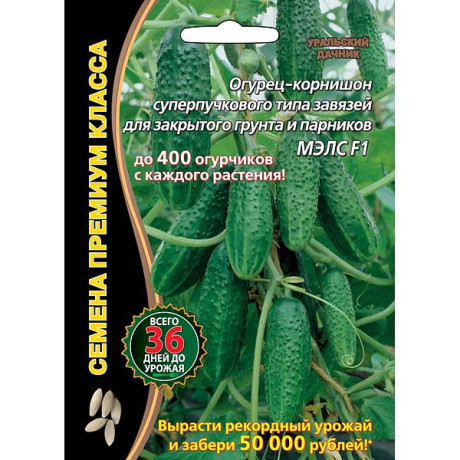 Огурец Мэлс Марс Ц