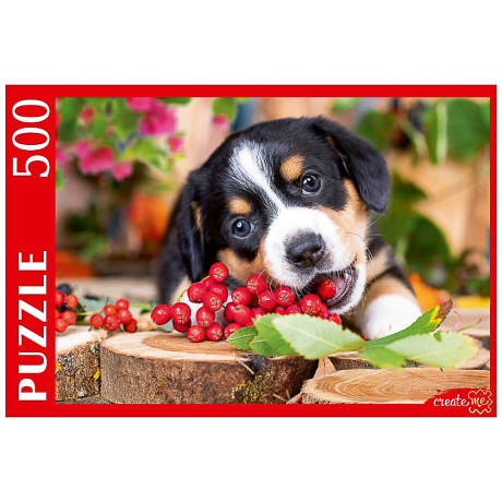 ПАЗЛЫ 500 элементов в ассортименте, 46,3х33,5х24,2см, 5 дизайнов