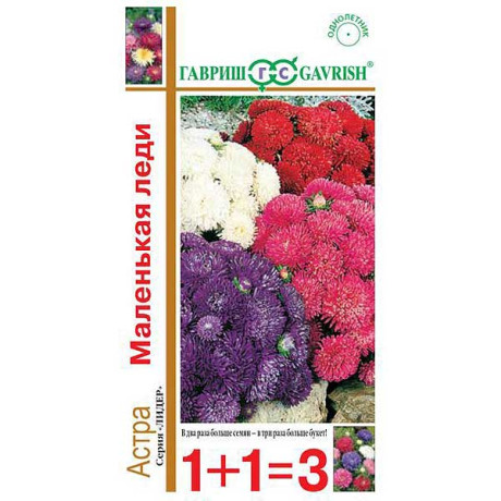 Астра Маленькая Леди 1+1 Гавриш Ц