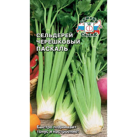 Сельдерей Паскаль Седек Ц
