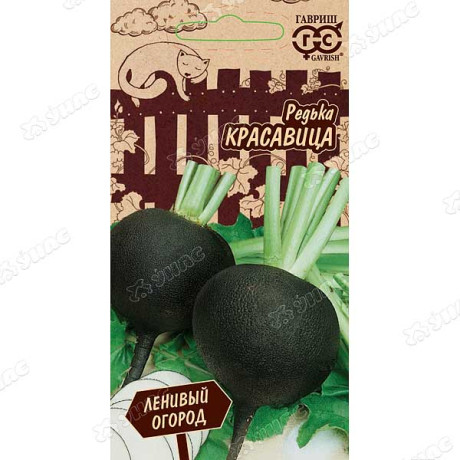 Редька Красавица Гавриш Ц