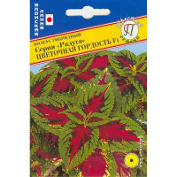 Колеус Радуга Цветочная гордость Престиж Ц