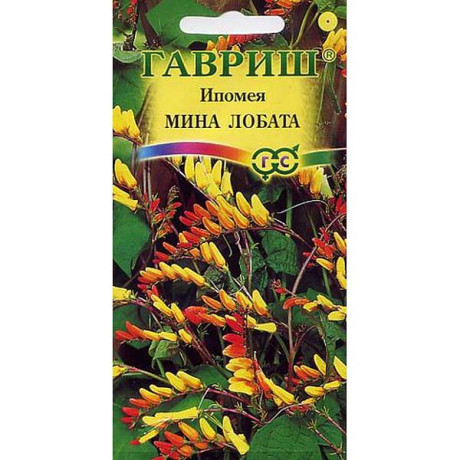 Ипомея Мина Лобата Гавриш Ц