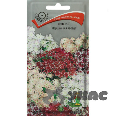 Флокс Мерцающая звезда Поиск Ц