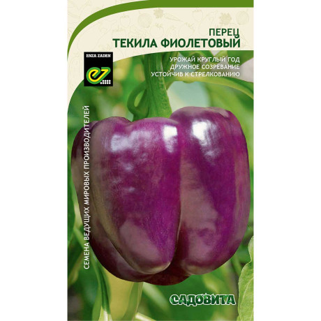Перец Текила F1 5шт Enza Zaden/Садовита Ц