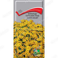 Бархатцы Золотой самоцвет Поиск Ц